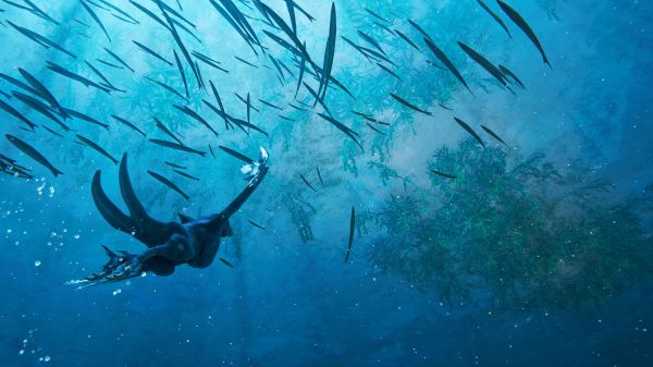 冰海孤翼好玩吗 冰海孤翼玩法简介