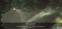 终极银光林地探索攻略 夜灵平野隐藏区域完全解析