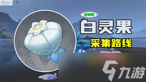 原神白灵果在哪里采集