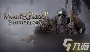 骑马与砍杀2加入王国武器消失怎么办