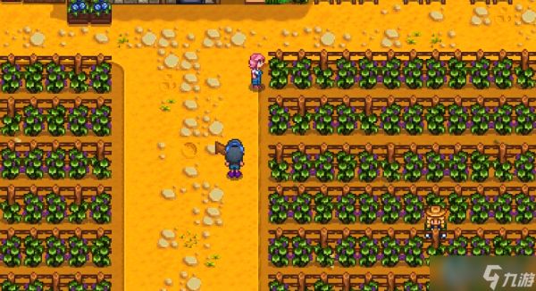 蓝月亮葡萄园探索指南：索菲亚的家与她的酿造世界