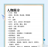 《三国志13魏国主公武将展示——曹操人物介绍》 曹操的政治才华与雄心壮志