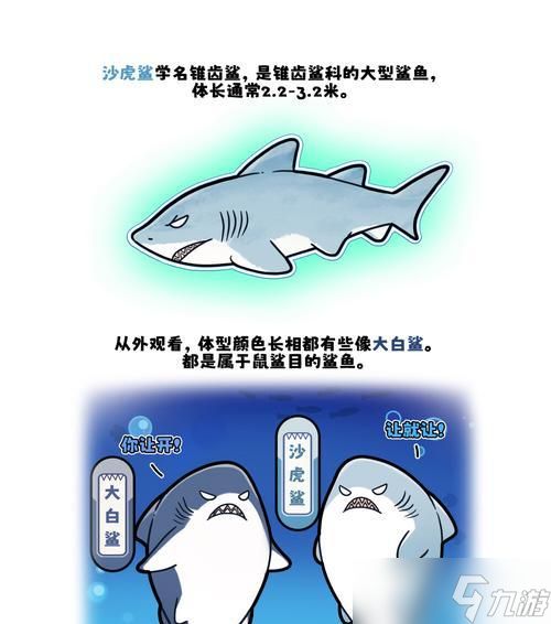 深海迷航沙鲨如何击败美丽水世界沙鲨（以游戏为主）