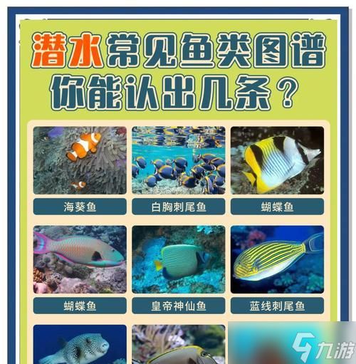 《美丽水世界泡泡鱼属性介绍》（深海迷航泡泡鱼怎么打）
