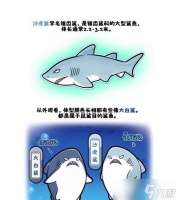 深海迷航沙鲨怎么击败美丽水世界沙鲨 以游戏为主