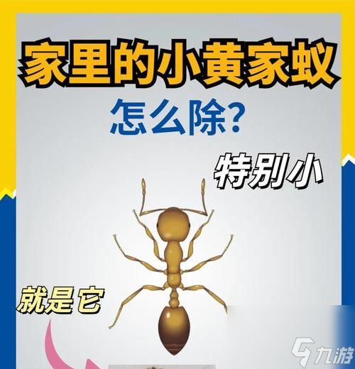 挑战蜂后（探索技巧）