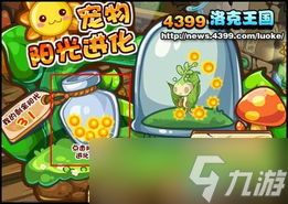 洛克王国世界犀角鸟如何进化