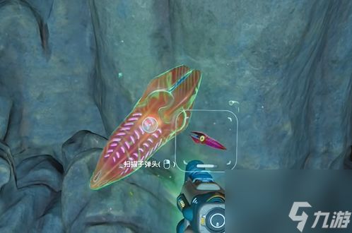 ‌《深海迷航2》子弹头生物图鉴与应对指南‌