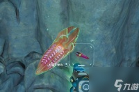 ‌《深海迷航2》子弹头生物图鉴与应对指南‌