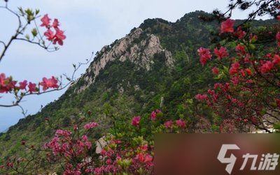 异环谕石收集玩法是什么