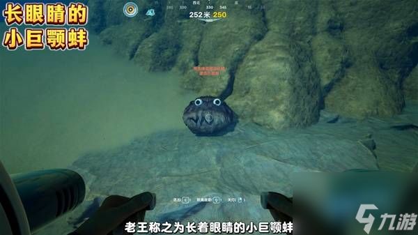 深海迷航2小巨颚蚌彩蛋位置