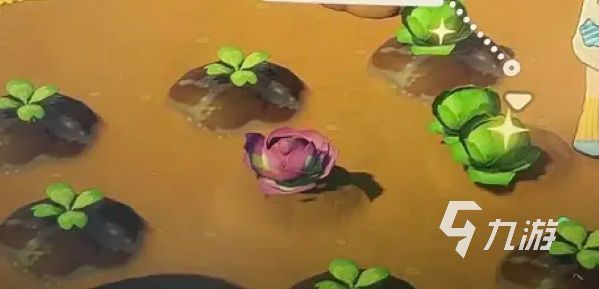 星布谷地露卡种子种植攻略 星布谷地露卡种子怎么种植