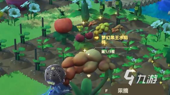 星布谷地露卡种子种植攻略 星布谷地露卡种子怎么种植