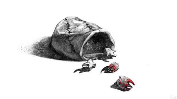 Paizo 轻规则恐怖游戏《13 Omens》独家首曝