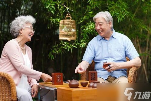媳妇找茬独守老人改善老人生活质量怎么通关