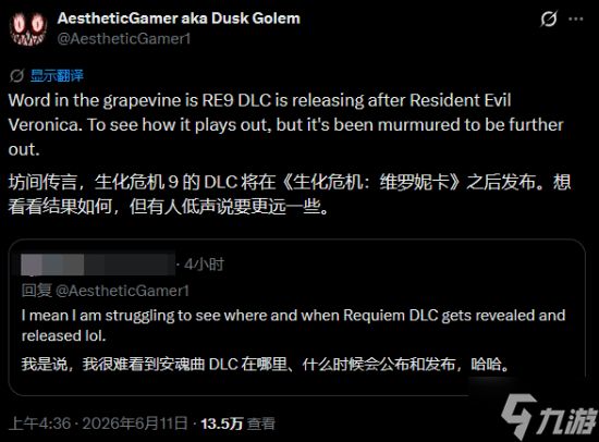 曝《生化危机9：安魂曲》DLC明年晚些时候发售！和《生化危机：代号维罗妮卡 重制版》相呼应