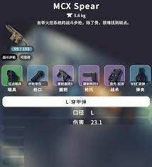 逃离鸭科夫高伤害低射速武器有哪些优势