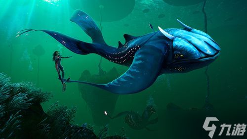 深海迷航2异星水域死腐水母包裹在哪找