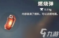逃离鸭科夫全投掷物图鉴有什么