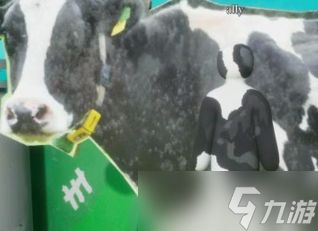 《变色龙》躲猫猫阴间点位一览
