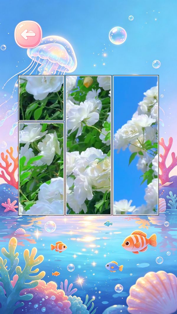 梦幻益智水族好玩吗 梦幻益智水族玩法简介