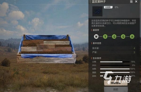 失控进化种子优质基因培育与高效种植搭配指南