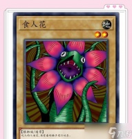 《以食人植物为主题的游戏攻略》 体验生态环境