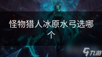 怪物猎人冰原水弓选哪个
