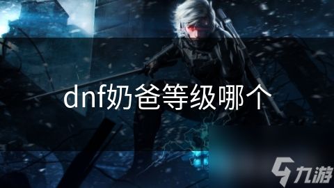 dnf奶爸等级哪个