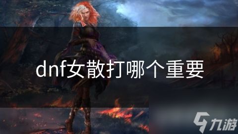 dnf女散打哪个重要