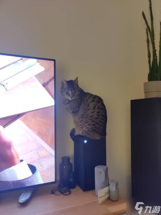 猫总坐在主机散热孔怎么办?传奇爱猫人加装尖刺!