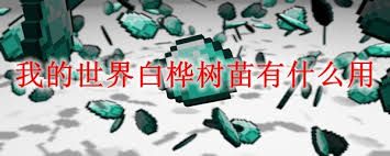 <a id='link_pop' class='keyword-tag' href='https://www.9game.cn/wodeshijie1/'>我的世界</a>白桦树叶有啥用途