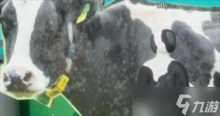 超级变色龙全图隐蔽点位推荐