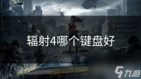 辐射4哪个键盘好