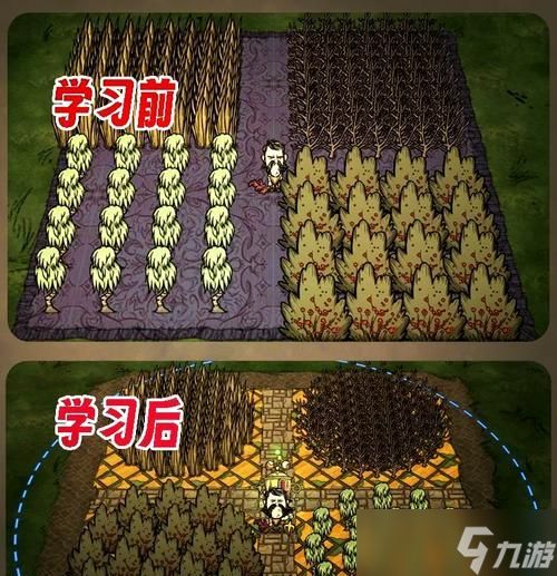 《饥荒新手秋季开局攻略》（打造最好的生存基地）