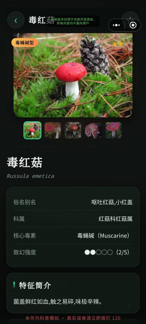 毒蘑菇幻觉模拟器好玩吗 毒蘑菇幻觉模拟器玩法简介