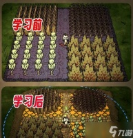 《饥荒新手秋季开局攻略》 打造最好的生存基地