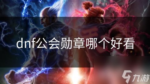 dnf公会勋章哪个好看