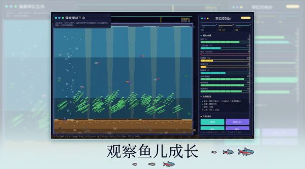 藻素草缸好玩吗 藻素草缸玩法简介