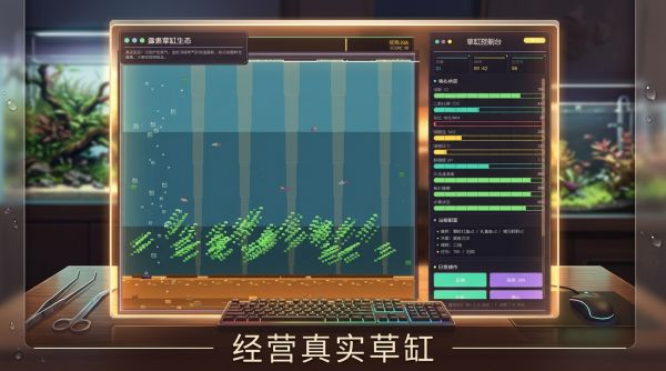 藻素草缸好玩吗 藻素草缸玩法简介