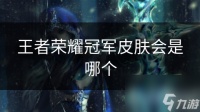 王者荣耀冠军皮肤会是哪个