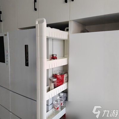 梦想翻新家冰箱收纳达人成就怎么做