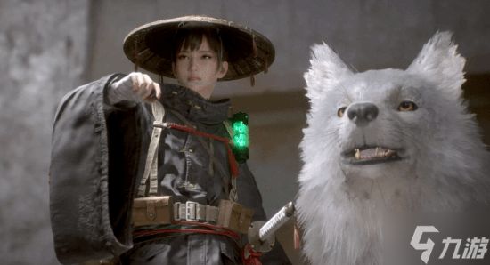 《轮回之兽》没有帧生成！每次启动都强制重置FSR1