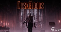 宫崎英高FS社新作《The Duskbloods》测试资格都能卖 定价最高100元