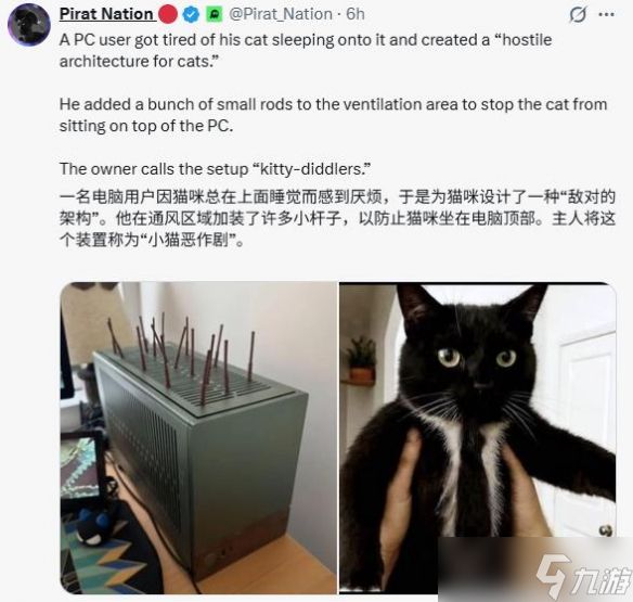 猫咪"霸占"电脑机箱?主人出奇招：自制"反猫建筑"走红