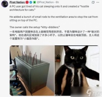 猫咪“霸占”电脑机箱?主人出奇招 自制“反猫建筑”走红