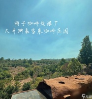 《庄园咖啡馆2024开局玩法攻略》 打造最成功的咖啡馆从这里开始