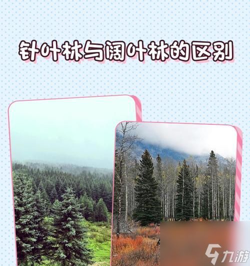 《我的世界针叶林生存攻略》(探索针叶林中的无尽可能性)