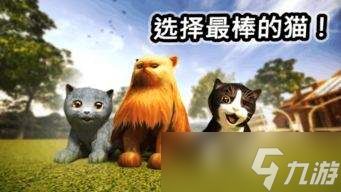 小猫咪大城市工地怎么过