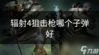辐射4狙击枪哪个子弹好